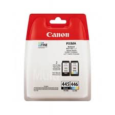 Pack cartocuhe d'encre CANON 445 + 446